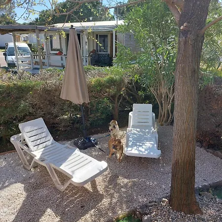 Kokua Mobil Homes Residentiels 4 Etoiles Campsite